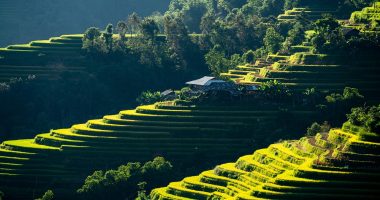 Autonomous finance apps 2026 - Crypto Tips Now
