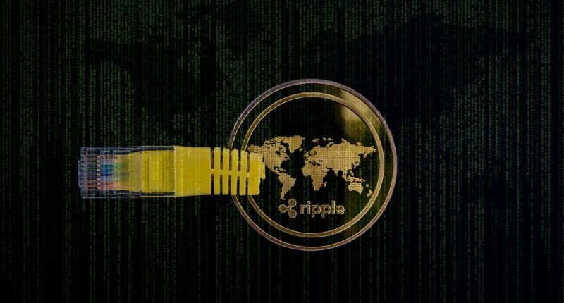 best crypto for beginners - Crypto Tips No