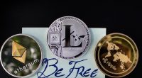 crypto launchpad guide 2026 - Crypto Tips No
